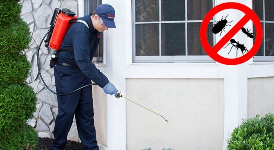 Başiskele Bit İlaçlama böcek ilaçlama ve haşere kontrolü — ilaclama-tr.com